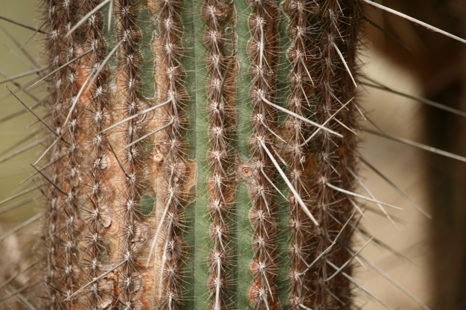 Keratin Treatments and Frizz Control 4 Beauty Blog
