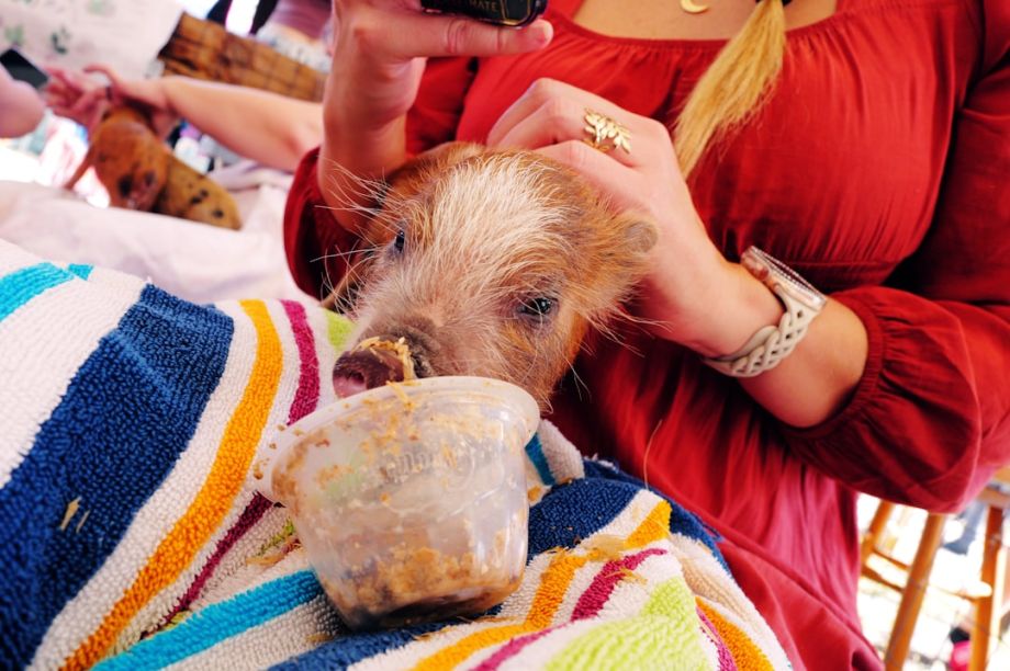 Beauty Blog 3 Salon Self-Care and Beauty Routines