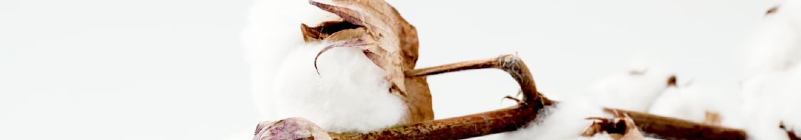 featured 1755129721.381579 9f956200 Manicure and Nail Care Education