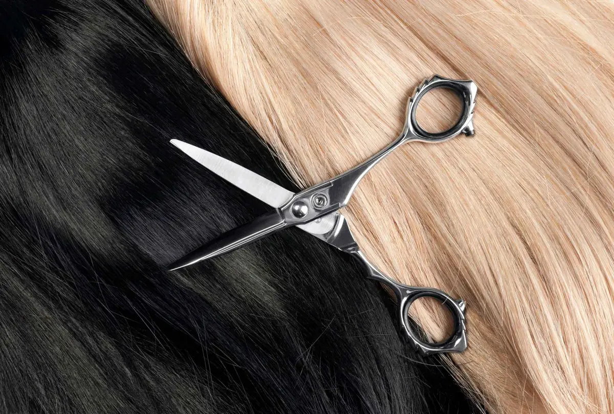 Scissors on blonde and dark hair