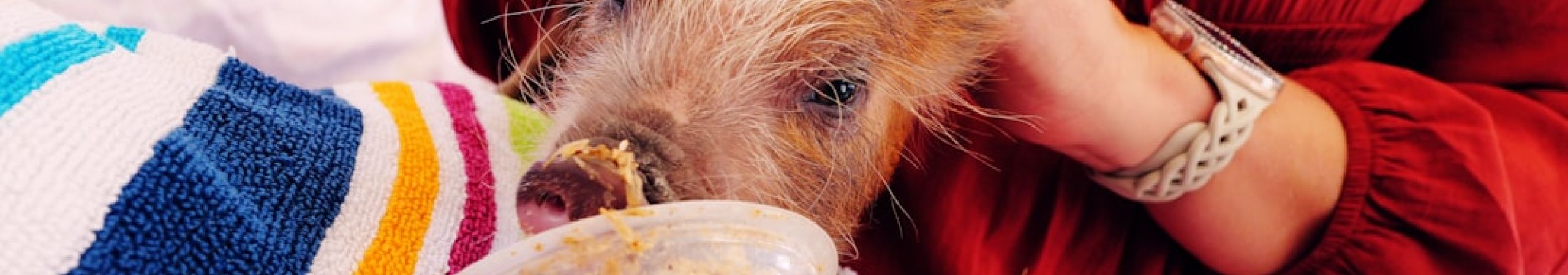 5f021bd3 Nail Art, Shapes and Seasonal Designs